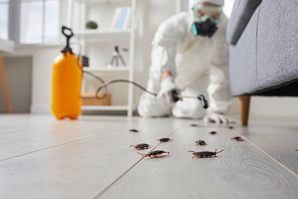 Post-Treatment Bed Bug Interceptor Monitoring in Thomasville