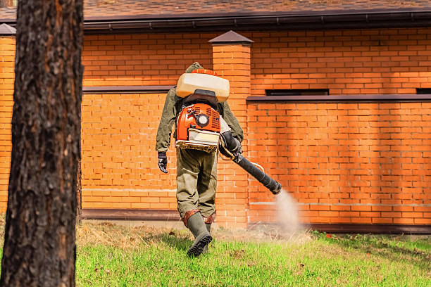 Bed Bug Clearance Verification and Documentation in Thomasville
